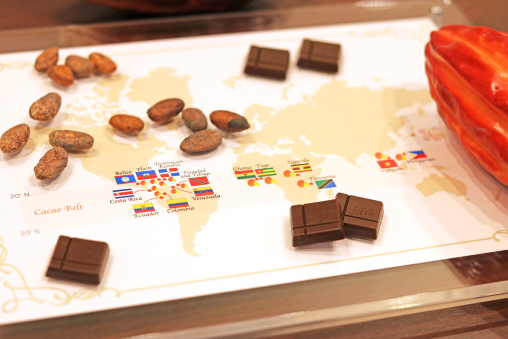 世界のカカオを使用した Bean to Bar チョコレート