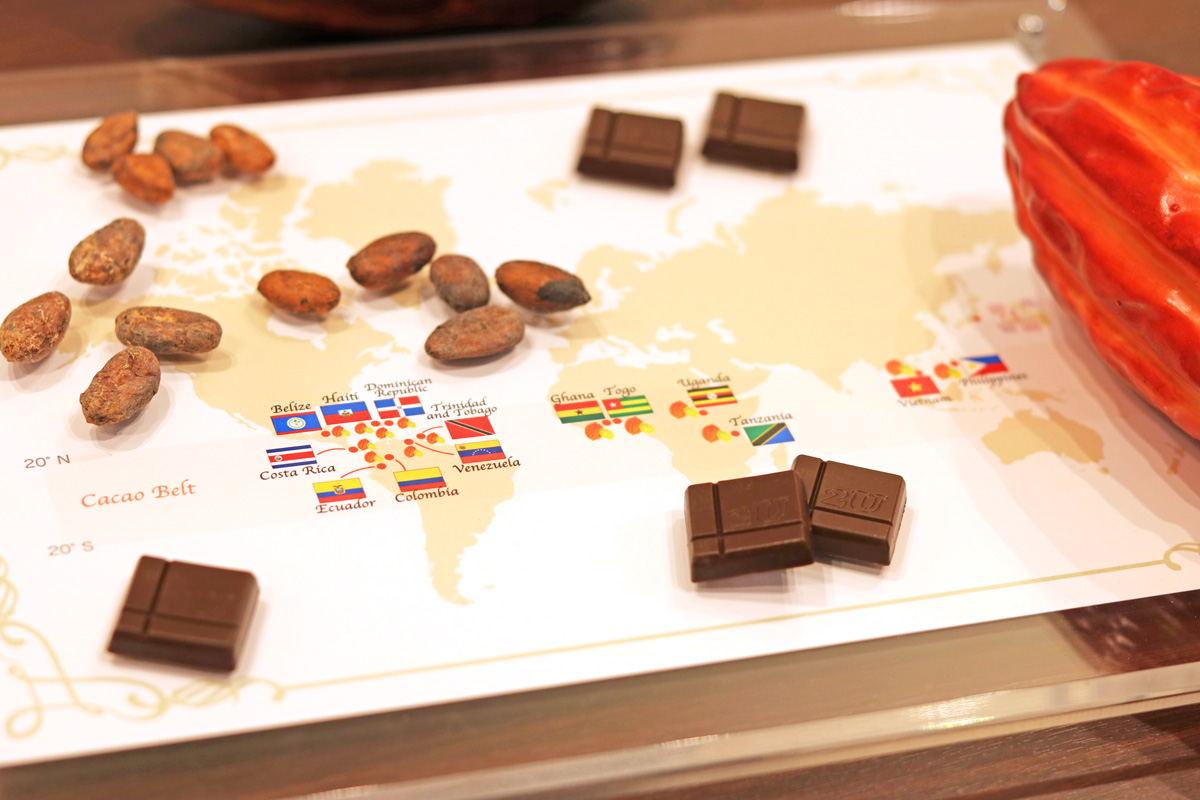 世界のカカオを使用した Bean to Bar チョコレート